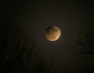 Polaris in April 2013.