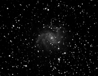 Supernova in NGC6946