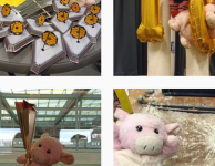 Vind onze laatste nieuwtjes op Instagram