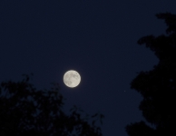  leo_aerts_maan_jupiter_samenstand_16_juni_2019