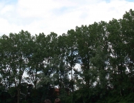JVS zomersport