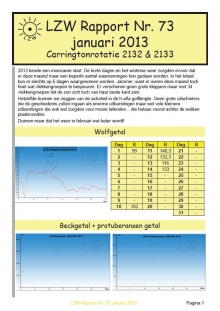 LZW Maandrapport januari 2013
