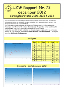 LZW Maandrapport: december 2012