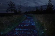 Lichtgevende verf gaat fietspaden verlichten